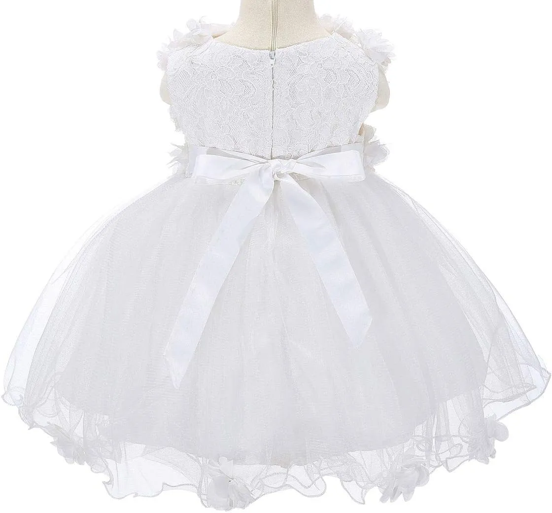 Bow Dream Baby Flower Girl Dress with Shoes Applique Birthday Princess Party