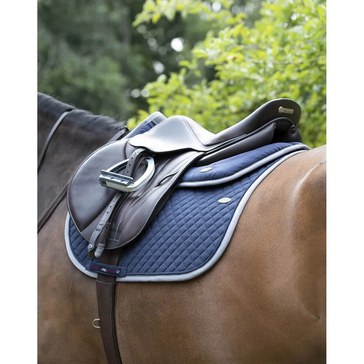 LeMieux Wither Relief Jumping Pad