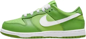 Nike Dunk Low PS Boys Shoes