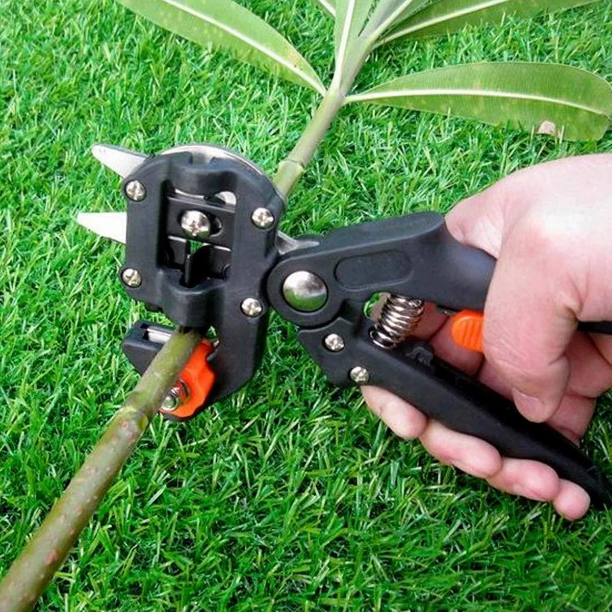 PersonalGarden  - Garden Grafting Tool